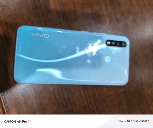 Vivo y19